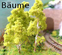 Birke.jpg (17160 Byte)