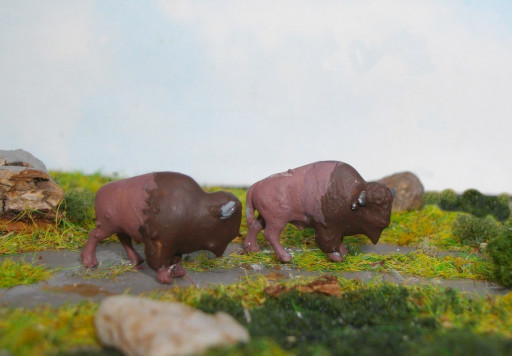 BisonsN.JPG (44899 Byte)