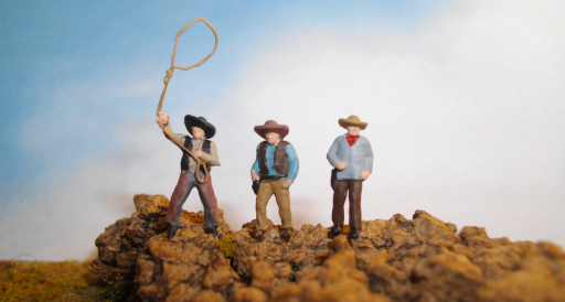 CowboysN22.JPG (67125 Byte)