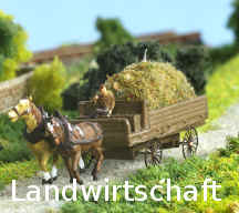 Heuwagen12.jpg (54905 Byte)