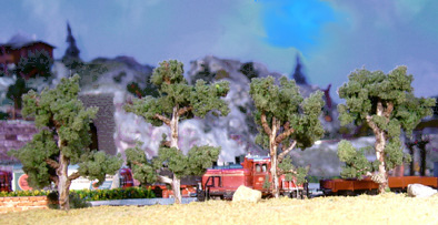 Laub12.jpg (51004 Byte)