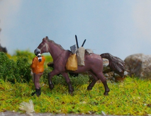 Packpferd2N.JPG (63072 Byte)
