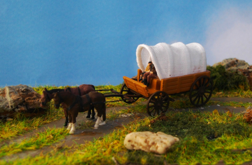 Planwagen.JPG (132552 Byte)
