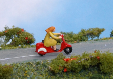 RollerMaed22Z.JPG (65368 Byte)