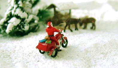 Trikex2.JPG (15472 Byte)