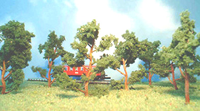 kiefer.jpg (51322 Byte)