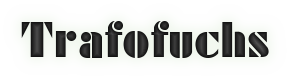 TFLogo3.png (16354 Byte)